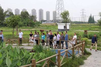 泰興鎮人大代表團開展《水污染防治法》專項視察，推進水污染治理工作