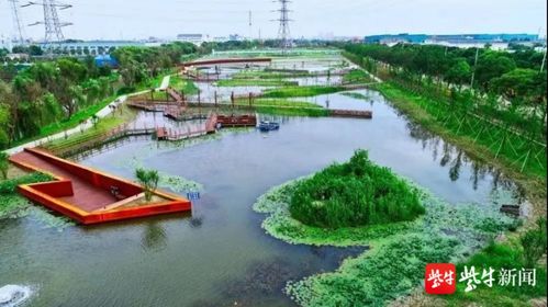 2100萬省級獎勵！蘇州這片區域生態環境建設喜獲肯定，水污染治理成效顯著