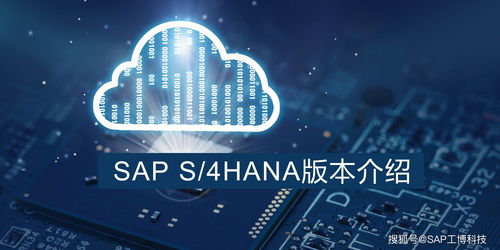 企業如何選擇適合的SAP S/4HANA版本